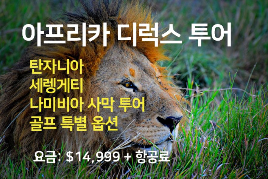 아프리카 디럭스 투어